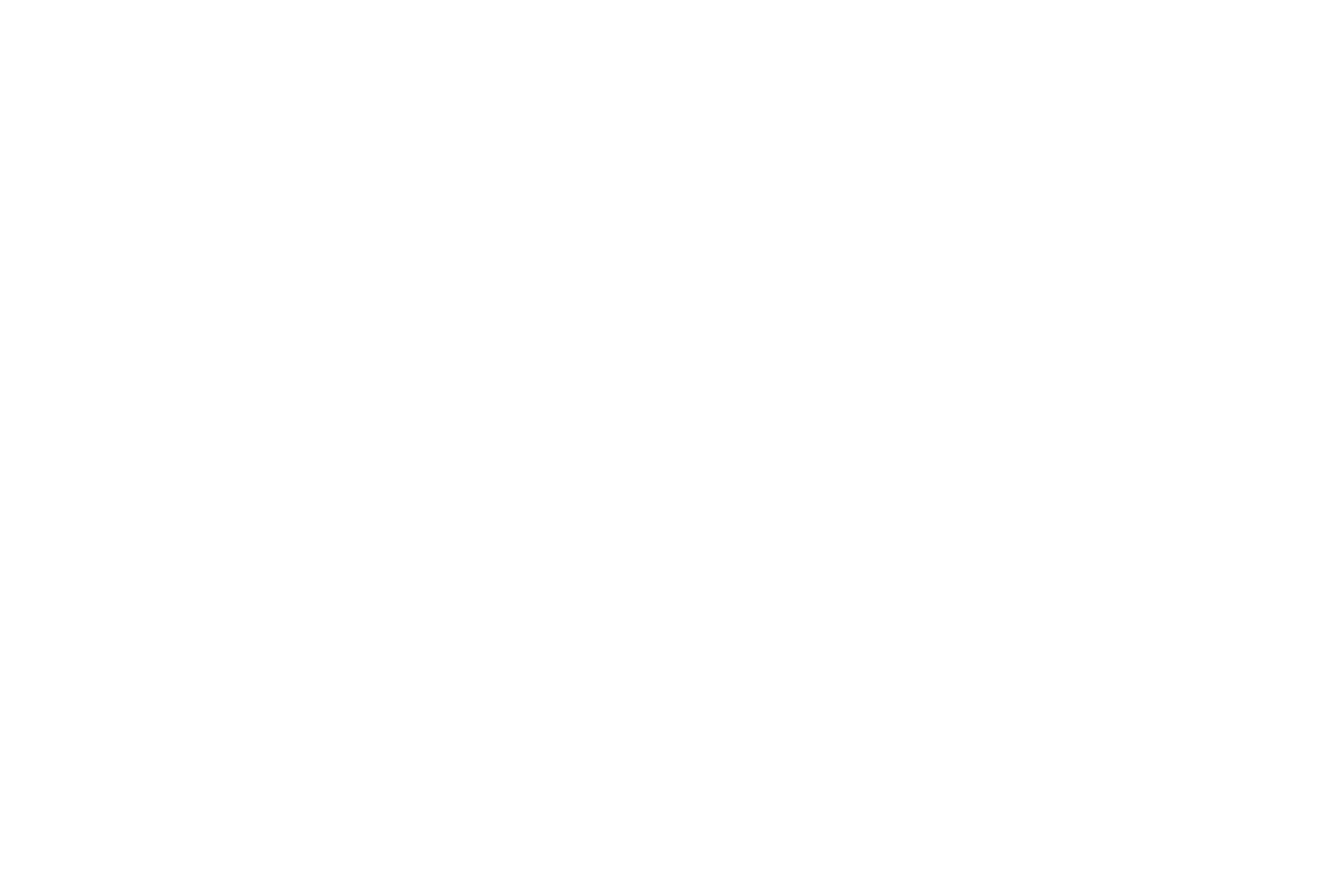 Dixon Visuals, wedding stories, est. 2025